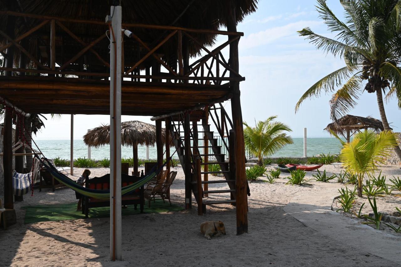 La Casa Del Mexicano Селестун Экстерьер фото